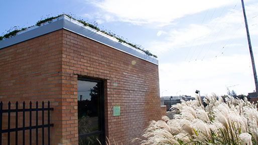 Water Reclamation Facility Green Roof