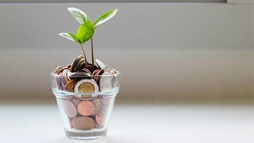 Green plant growing out of a jar of coins